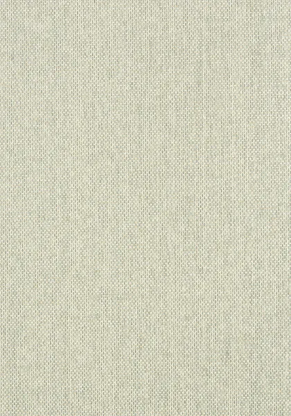 Обои для стен Thibaut Grasscloth Resource T41132