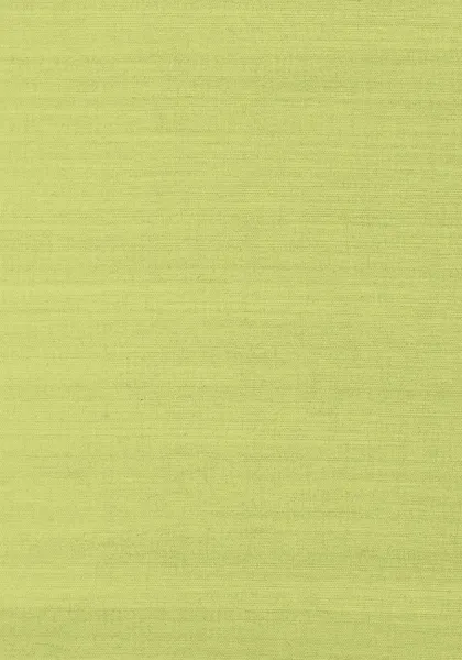 Обои для стен Thibaut Grasscloth Resource T41181