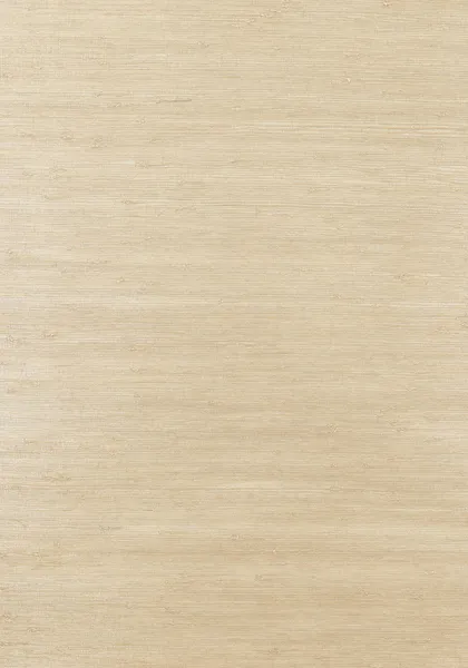 Обои для стен Thibaut Grasscloth Resource Volume 2 T3639