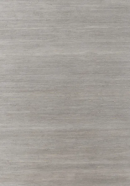 Обои для стен Thibaut Grasscloth Resource Volume 2 T3641