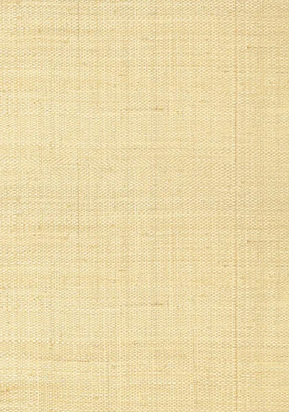 Обои для стен Thibaut Grasscloth Resource Volume 3 T41106