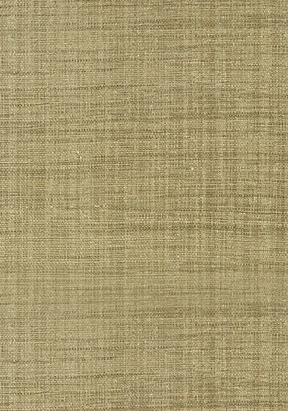 Обои для стен Thibaut Grasscloth Resource Volume 3 T41109