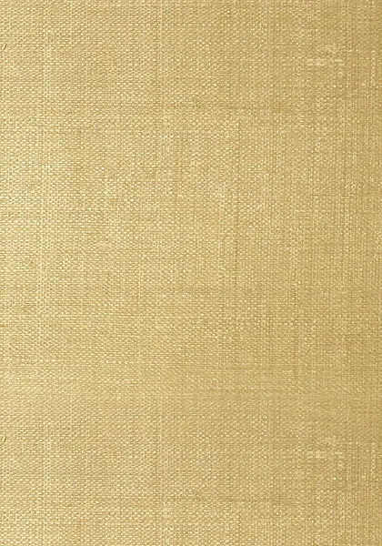 Обои для стен Thibaut Grasscloth Resource Volume 3 T41111