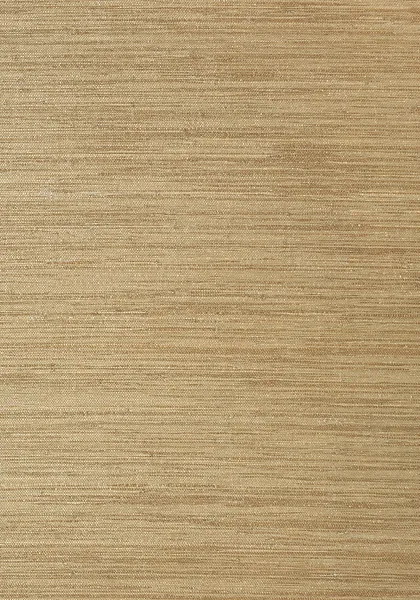 Обои для стен Thibaut Grasscloth Resource Volume 3 T41115