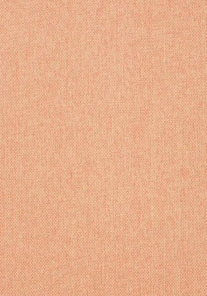 Обои для стен Thibaut Grasscloth Resource Volume 3 T41124