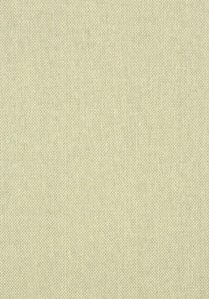Обои для стен Thibaut Grasscloth Resource Volume 3 T41134