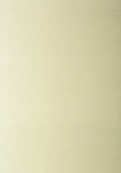 Обои для стен Thibaut Natural Resource Volume 2 T83039