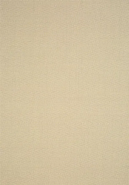 Обои для стен Thibaut Natural Resource Volume 2 T83056