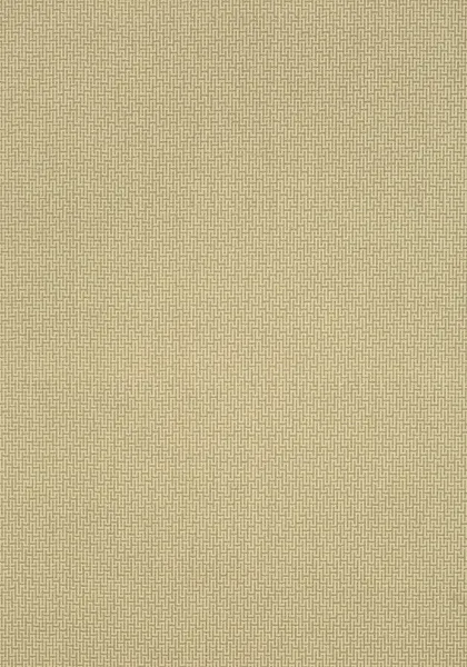 Обои для стен Thibaut Natural Resource Volume 2 T83057