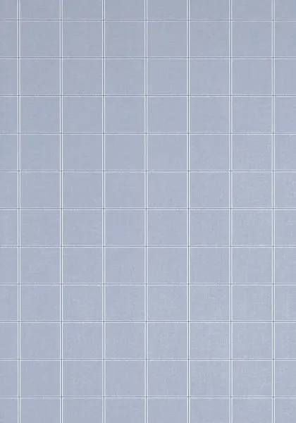 Обои для стен Thibaut Menswear Resource T1022