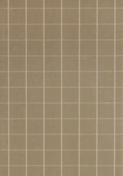 Обои для стен Thibaut Menswear Resource T1023