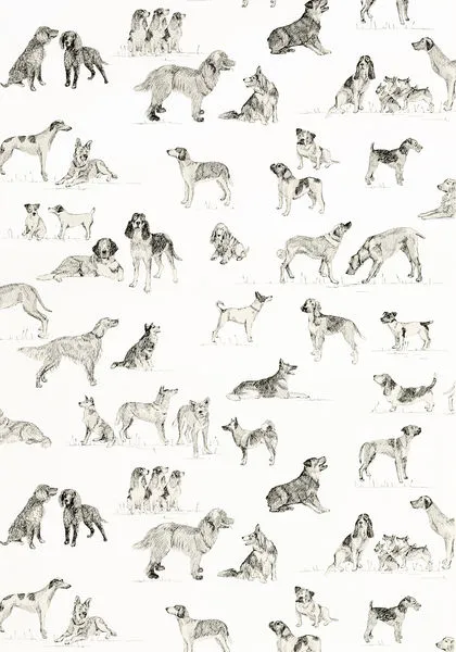 Обои для стен Thibaut Menswear Resource T1038