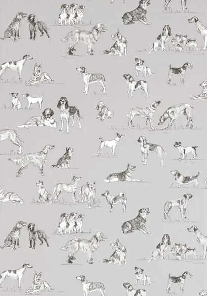 Обои для стен Thibaut Menswear Resource T1039