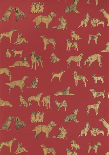 Обои для стен Thibaut Menswear Resource T1041