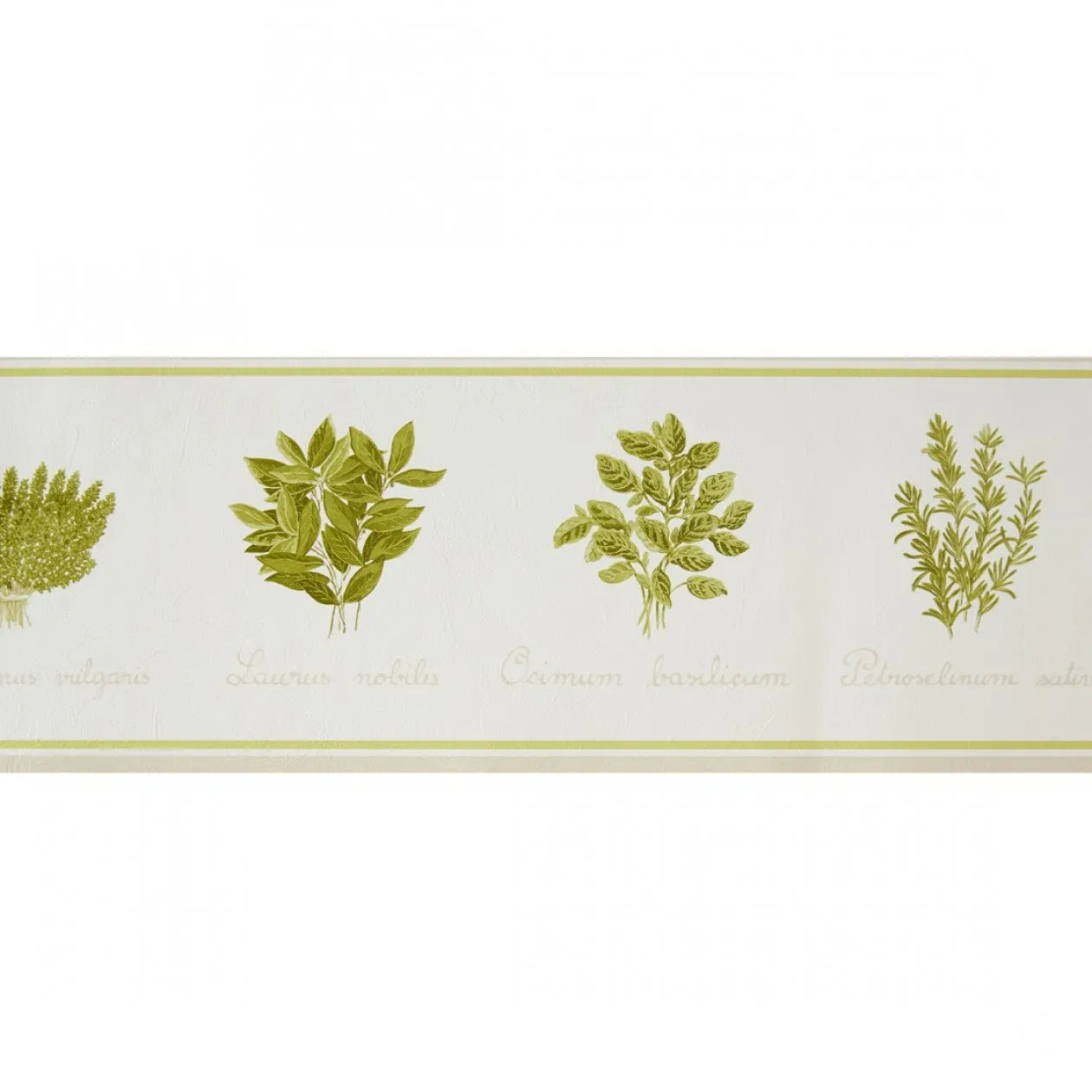 Обои для стен Caselio Romarin 60227000