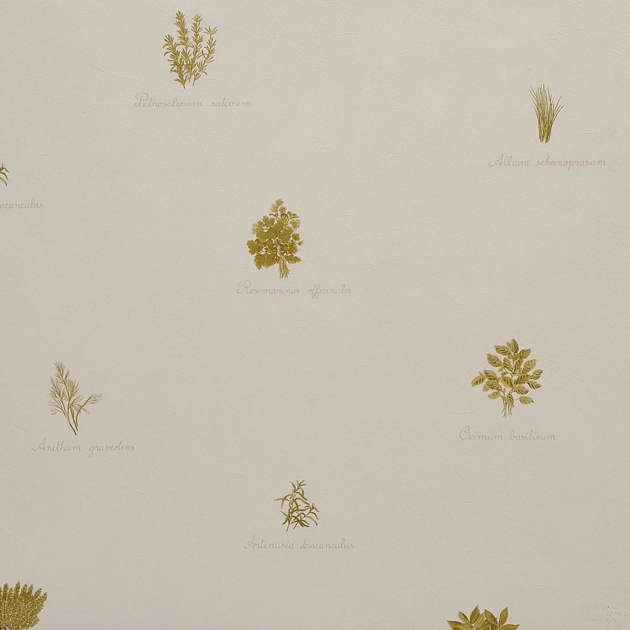 Обои для стен Caselio Romarin 60237051