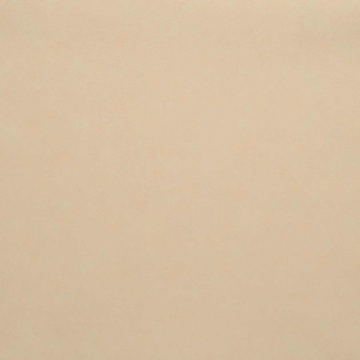 Обои для стен Caselio Romarin 60342016