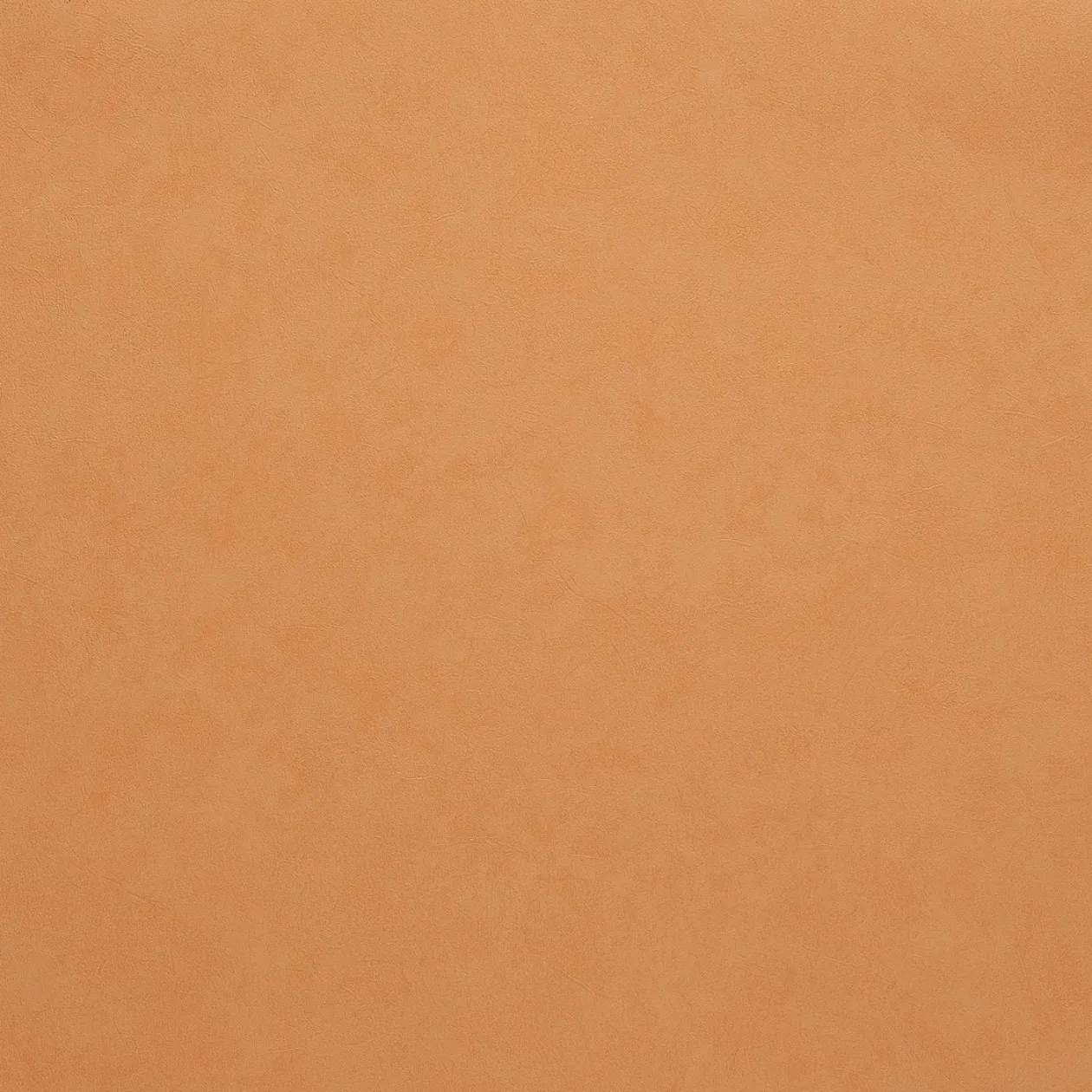 Обои для стен Caselio Romarin 60343042