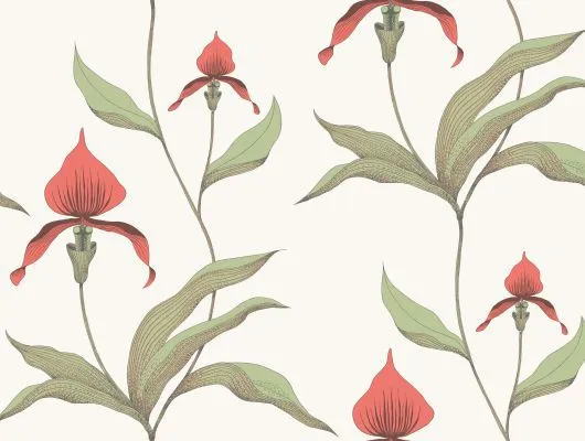 Обои для стен Cole & Son Contemporary Restyled 95-10054