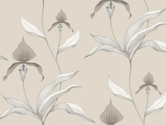 Обои для стен Cole & Son Contemporary Restyled 95-10058