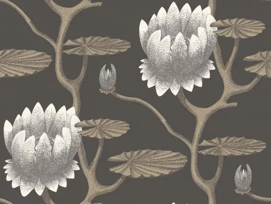 Обои для стен Cole & Son Contemporary Restyled 95-4026