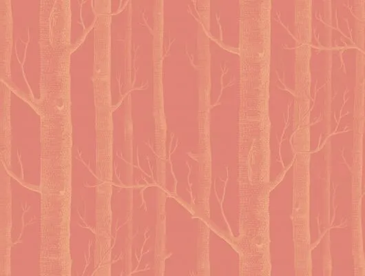 Обои для стен Cole & Son New Contemporary Two 69-12146
