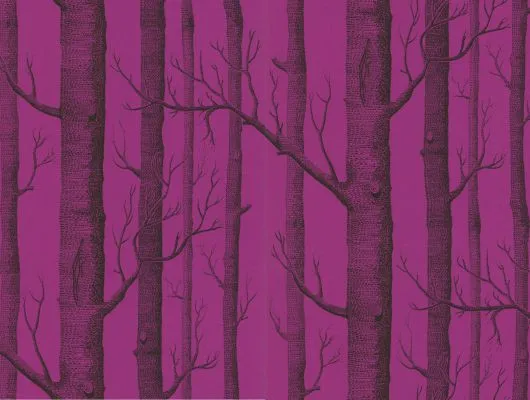 Обои для стен Cole & Son New Contemporary Two 69-12152