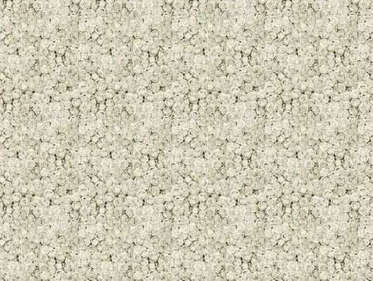 Обои для стен Mr Perswall Daily Details p191501