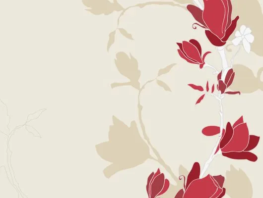 Обои для стен Mr Perswall Accessories dm209-1