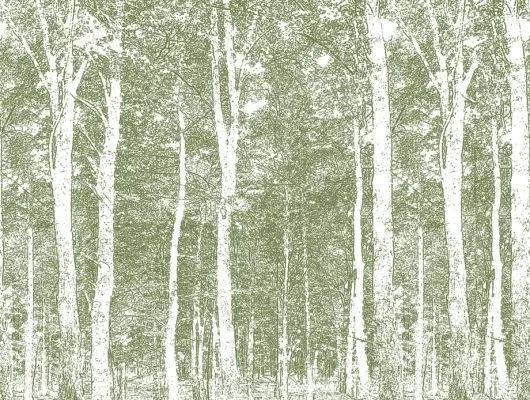 Обои для стен Mr Perswall Accessories dm216-3