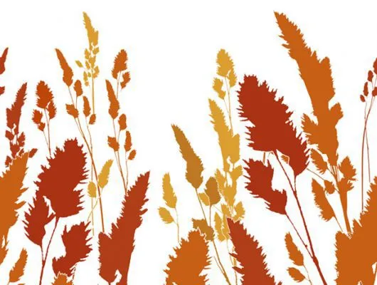 Обои для стен Mr Perswall Accessories dm220-2