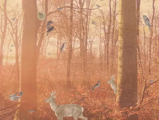 Обои для стен Mr Perswall Creativity & Photo Art p011401-6