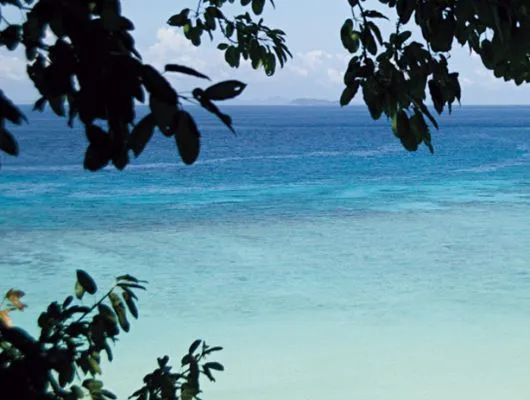 Обои для стен Mr Perswall Creativity & Photo Art p020601-4