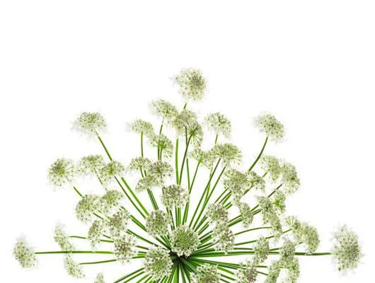 Обои для стен Mr Perswall Creativity & Photo Art p021501-8