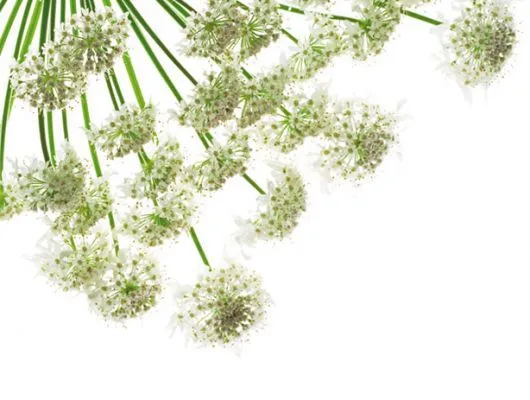 Обои для стен Mr Perswall Creativity & Photo Art p021502-4