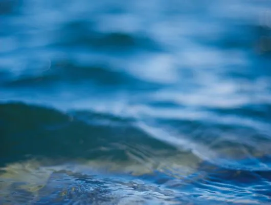 Обои для стен Mr Perswall Photo dm304-1