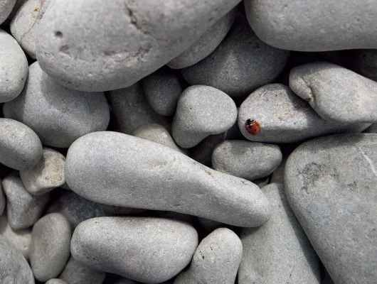 Обои для стен Mr Perswall Photo dm314-1