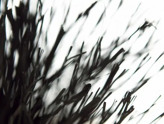 Обои для стен Mr Perswall Photo dm315-1