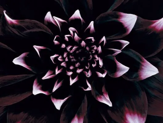 Обои для стен Mr Perswall Photo dm319-2