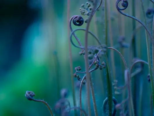 Обои для стен Mr Perswall Photo dm324-3