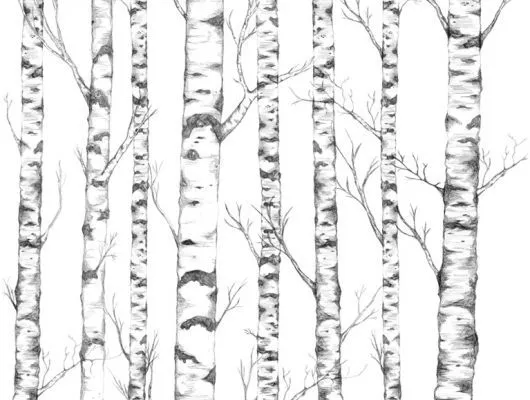 Обои для стен Mr Perswall Urban Nature p032401-5