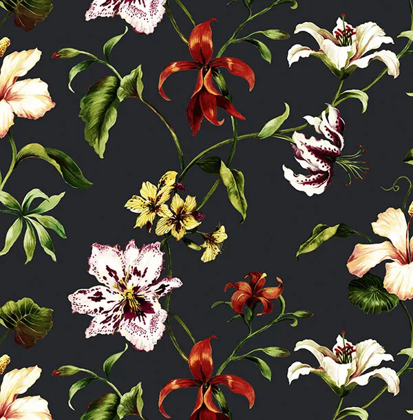 Обои для стен Jaima Brown Charleseton Home jb50100