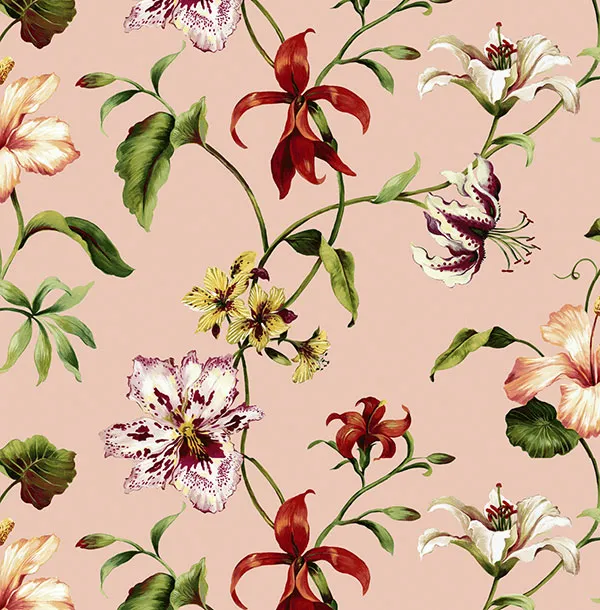 Обои для стен Jaima Brown Charleseton Home jb50101