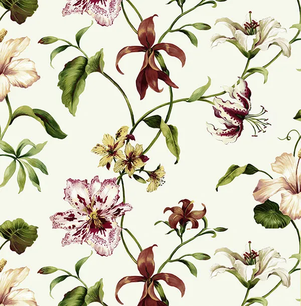 Обои для стен Jaima Brown Charleseton Home jb50110