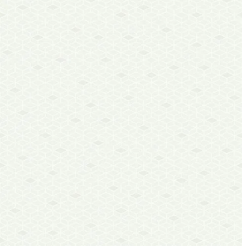 Обои для стен Paper & Ink Black&White BW20910