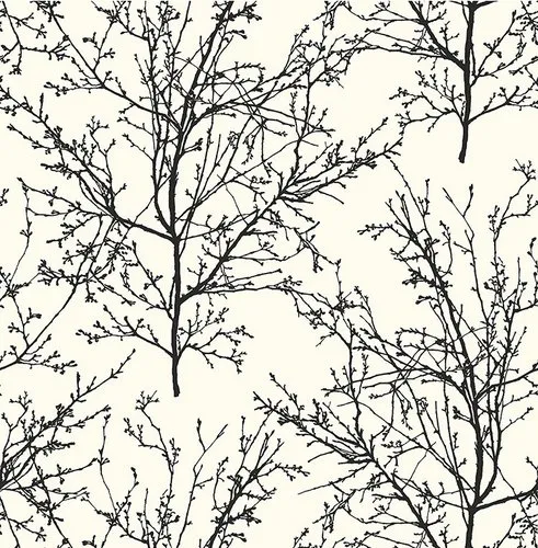 Обои для стен Paper & Ink Black&White BW22400