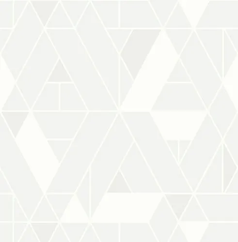 Обои для стен Paper & Ink Black&White BW22900