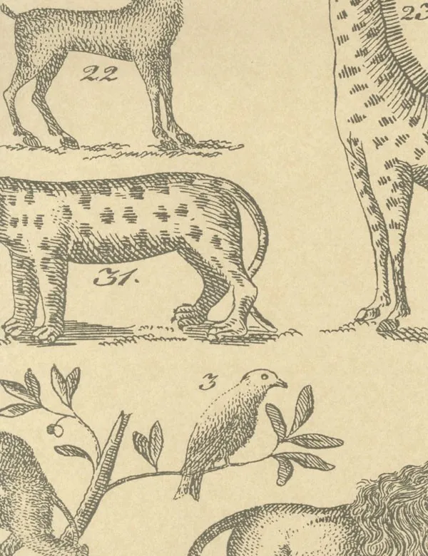 Обои для стен Andrew Martin Museum ark-parchment