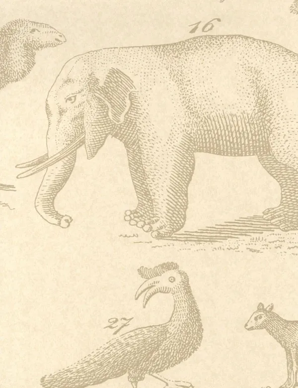 Обои для стен Andrew Martin Museum ark-sand