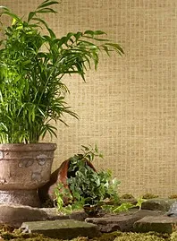Обои для стен Phillip Jeffries Vinyl Rattan